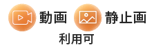 動画・静止画 利用可